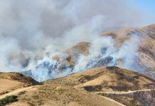 Senado exige investigar causas de incendios en Tarija y reforzar prevención en Santa Cruz