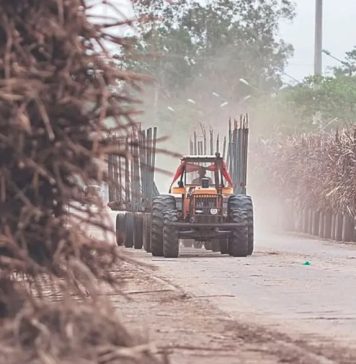 Gobierno compromete apoyo al agro y anuncia acciones contra los avasallamientos