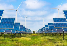 Milenio plantea necesidad de fortalecer la política ambiental y la transición energética