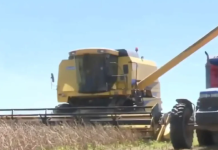 Falta de diésel frena la siembra de arroz en Beni
