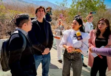 Anuncian inventario de “elefantes blancos”