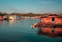 Reactivan ruta de exportación por la Amazonía boliviana hacia Manaos