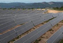 Según Ricardo Hausmann, Bolivia puede convertirse en una «superpotencia de energía verde»