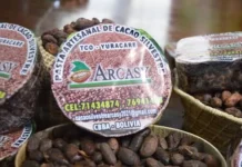 Bolivia busca posicionar su cacao silvestre en el mercado mundial con una agenda nacional