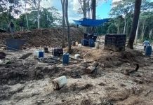 Autoridad de minería denuncia acciones de grupos armados