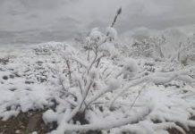 Alerta naranja por nieve en cinco departamentos incluye a Tarija