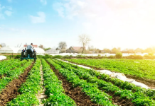 Anapo reunirá a expertos internacionales para debatir tecnologías y desafíos de la agricultura sostenible