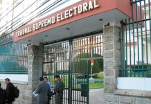 TSE restituye la personería jurídica de la Falange Socialista Boliviana por fallo del TCP