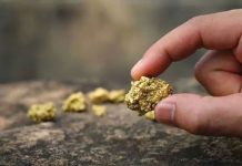 Minería apunta a convertir auge del oro y plata en inversión y empleo