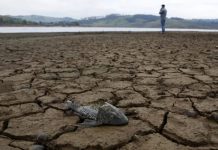 El Gobierno prevé Bs 23.5 millones para prevenciones del “Súper Niño”