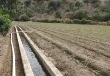 Gobernación y regantes acuerdan priorizar proyectos para garantizar agua destinada a la producción