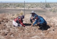 Expertos analizarán impacto de El Niño sobre la economía boliviana