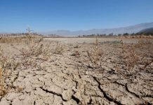 Tras 53 días de bloqueos, Bolivia enfrenta una nueva amenaza: sequías, menos gas y más inflación