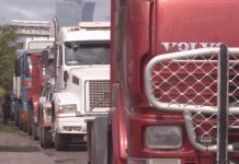 Falta de diésel paraliza al 70% del transporte pesado