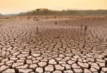 El Niño amenaza la producción con sequía severa y mayor calor en Bolivia