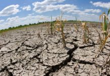 Economista advierte que si El Niño es severo la economía podría caer hasta en un 5 %