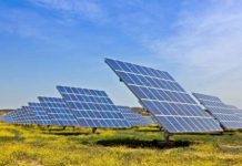 Joint venture de Petrobras en energía solar enfrenta dificultades para avanzar con proyectos