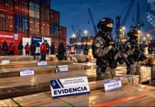 Cancillería responde a denuncias de quema de madera boliviana en Chile