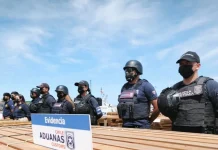 Exportadores esperan acceder a pruebas de la madera incautada en la audiencia en Chile