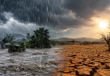 La OEA urge a preparase contra las severas inundaciones y sequías que provocará El Niño