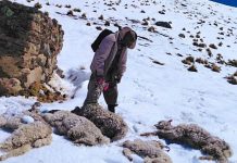 Gobierno evalúa declarar alerta nacional tras emergencia en cuatro departamentos por el fenómeno de El Niño