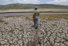 Sequía en seis departamentos deja 78.000 familias afectadas y pérdida de ganado