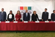 TSE presentará reforma electoral en noviembre