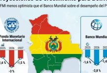 Bolivia, la única economía de Sudamérica que decrecerá este año y el próximo, según el FMI