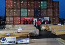 El sector forestal confirma que quemaron 800 toneladas de madera en Chile; pérdidas llegan a $us 50 millones