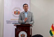 Bolivia reporta menos del 1% de afectación por incendios forestales respecto a años críticos