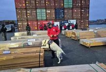 Diplomáticos de EEUU y México reclamaron a Kast por incautación y destrucción de madera boliviana, según medio chileno