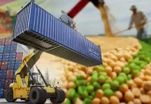 Fundación Milenio propone «Revolución Exportadora» para subir las ventas externas en más de 60% hasta el 20230