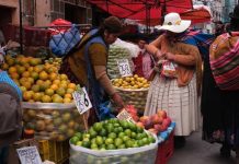 Bolivia, ante el reto de levantar su economía golpeada por la inflación y falta de dólares