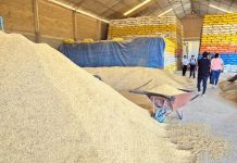 Gobierno convoca a arroceros de Santa Cruz a reunión para discutir costos y abastecimiento