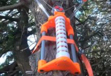 Logran convertir los árboles en generadores de energía: es un hito para la humanidad