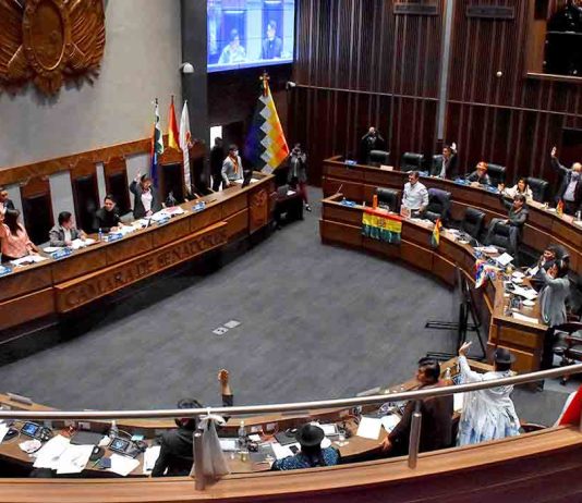 Senado aprueba ley para que el TCP funcione solo con los 4 magistrados elegidos y excluye a los prorrogados