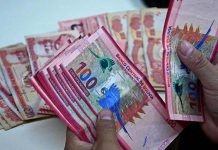 Economistas afirman que el gasto corriente del Presupuesto 2025 llega a un 58,8%