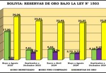 Venta de oro refinado destinado a gasto corriente y reservas registran una caída