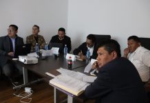 Comité de Energía de Diputados aprueba dos contratos para industrializar el litio y los remite a la Comisión de Economía Plural