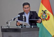 Se amplía importación libre de trigo y harina