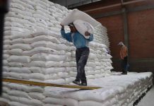Importarán 60.000 toneladas de trigo para harina subvencionada y evitar alza del pan de batalla