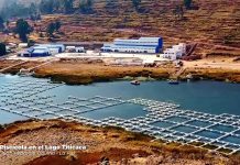 Construcción de la Planta Piscícola del lago Titicaca llega al 90% de avance