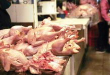 Pollo: Alcaldía advierte con procesos por alza en precio