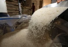 Gobierno aprueba decreto supremo que autoriza la subvención de siete productos