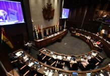 El Senado aprueba la ley de escaños: Santa Cruz sube un curul en Diputados