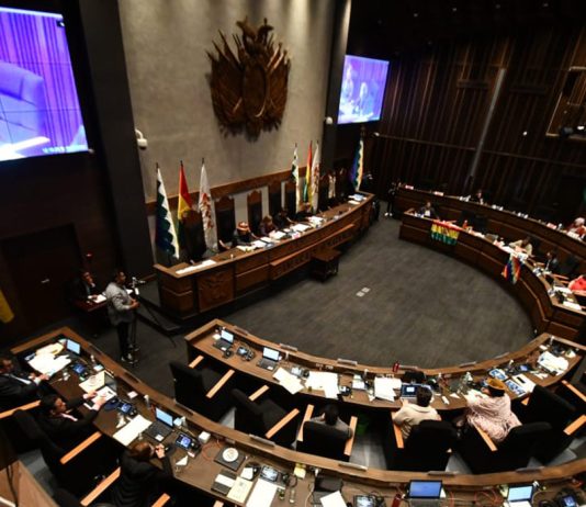 El Senado aprueba la ley de escaños: Santa Cruz sube un curul en Diputados