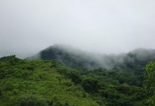 Tariquía: denuncian sobornos en proceso de consulta previa