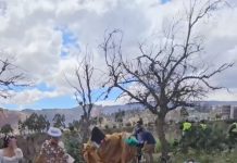 ‘Tuna fest’: ciudadanos realizan protesta simbólica por agresión de una mujer por cosechar tunas