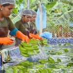 Los agropecuarios exigen seguridad jurídica para que vuelvan los inversores