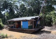 Senadora Requena denuncia que en área protegida de Pando hay 120 dragas